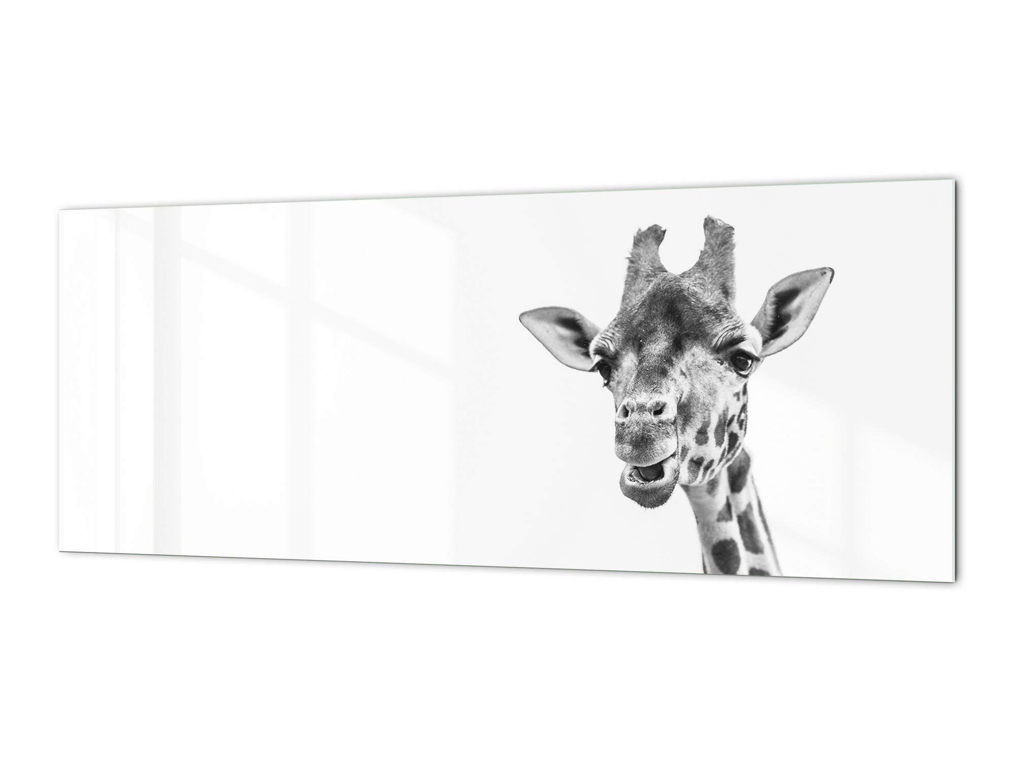 Stylish glass backsplash - Photo glass upstand Animals Series BBS11: