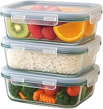 Potes de Vidro com Tampa Hermético Retangular 450ML Marmita Resistente a forno Freezer e Microondas (5)