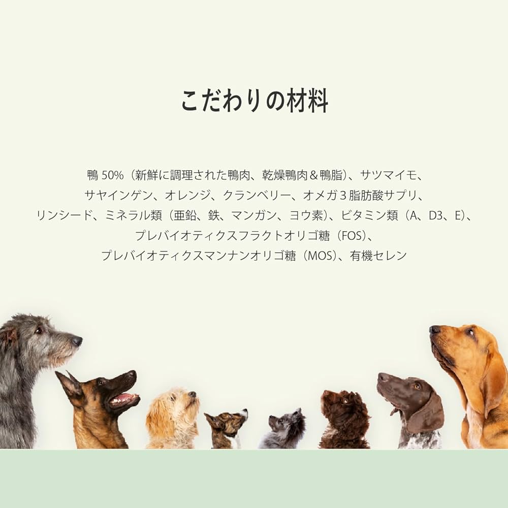 Amazon.co.jp: Planet Pet プラペ ! CP 鴨 & オレンジ