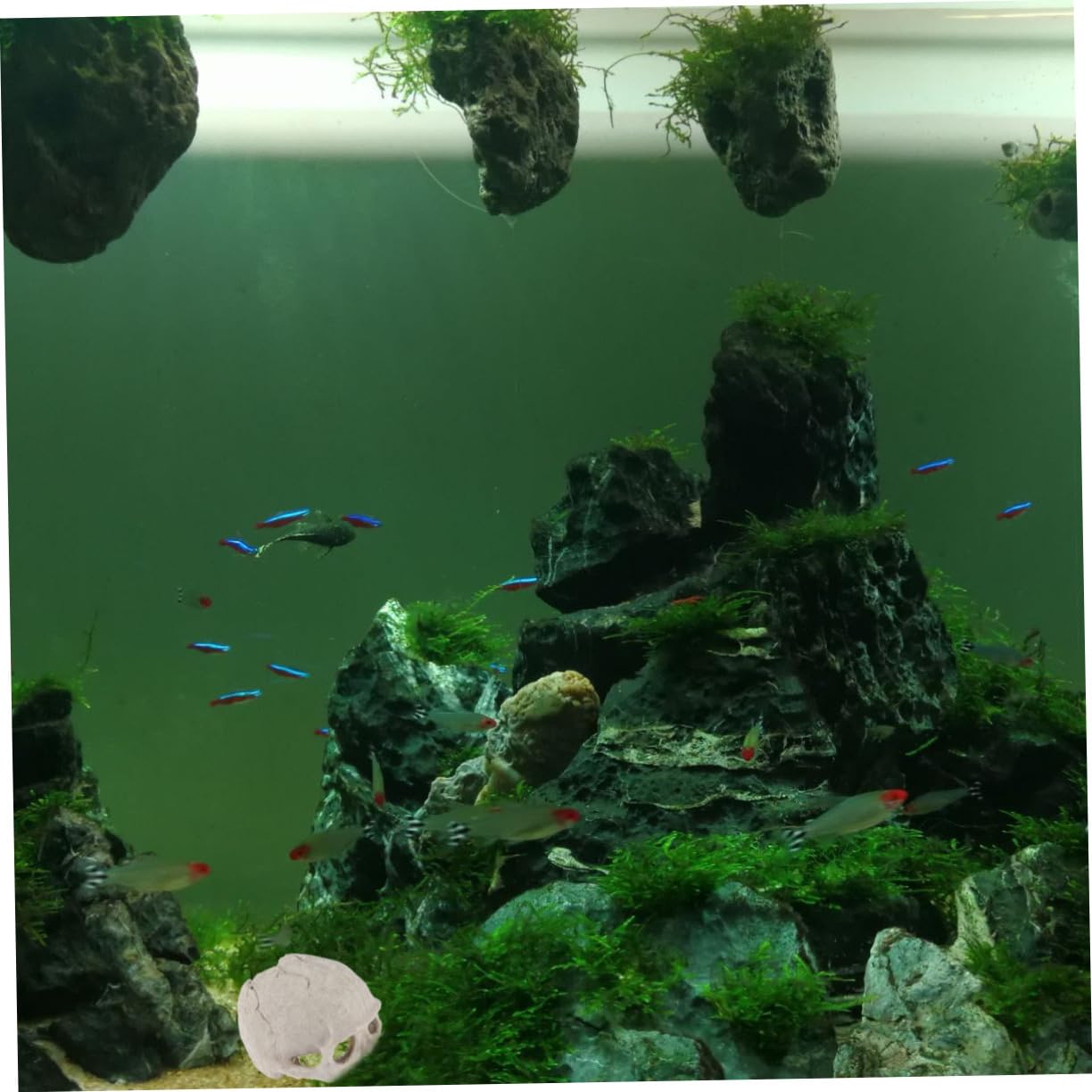 BESPORTBLE 3St Aquarienschädel - Lebensraum für Aquarien Aquariumdekorationen Terrarium Aquarium Reptilien Spielzeug Aquarium-Schädel Requisiten für Aquarien