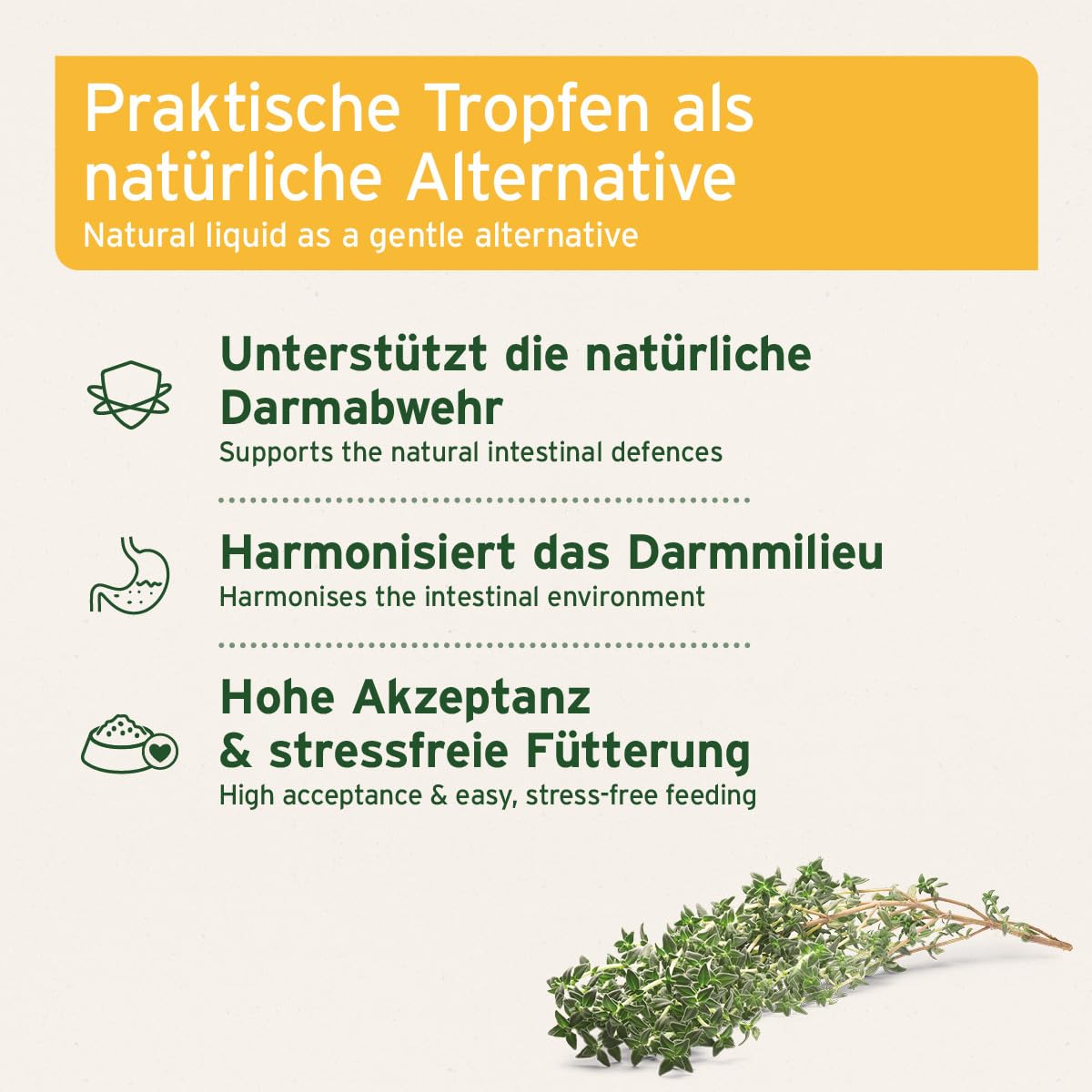 AniForte Wurm Kraut W-Liquid Gotas líquidas - alternativa natural para perros, gatos, mascotas, apoya y armoniza el estómago después de las infestaciones de gusanos, fabricado en Alemania, 50 ml