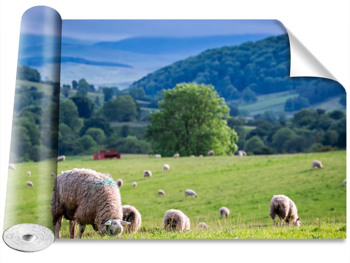 Papier peint camouflage Tulup grand format 250x104cm déco murale motif Le mouton