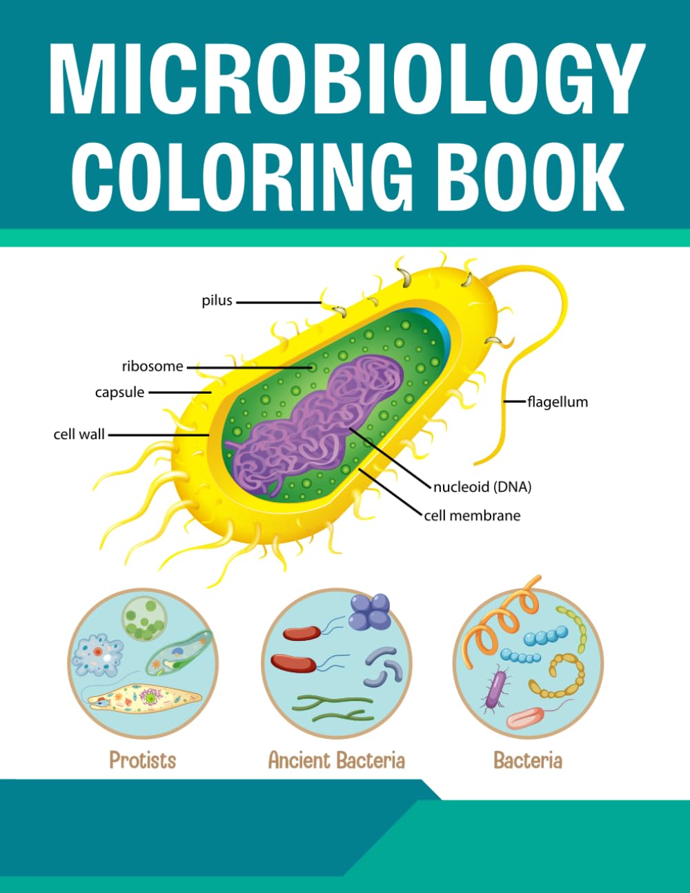 Microbiology Coloring Book: An Educational Microbiology Coloring Workbook to Explore Bacteria Viruses and Microbial Structures for Students and Science Enthusiasts