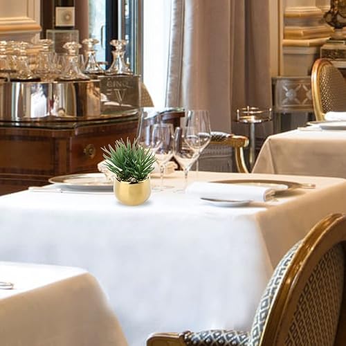 Miniatura 6 de Briful Pequeñas suculentas artificiales en macetas, juego de 2 plantas suculentas realistas con macetas de cerámica doradas, lindas mini plantas