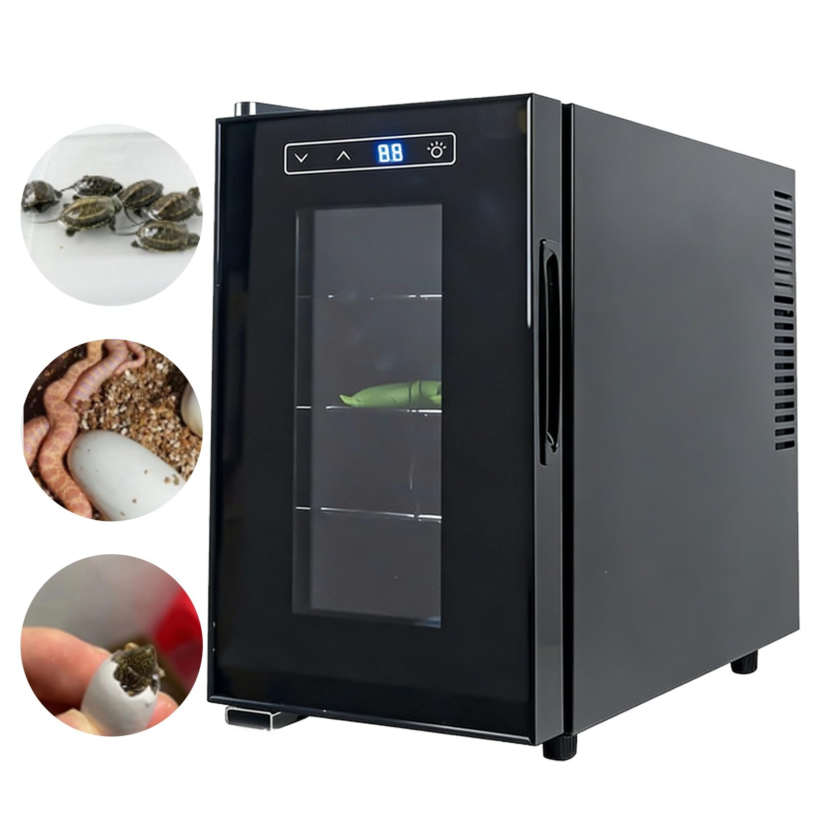 Reptilien-Inkubator, 25 L, Digitaler Eier-Inkubator Mit Präziser Temperaturregelung (10–40 ℃), Leiser Betrieb, Doppelschichtige Glastür(23L)