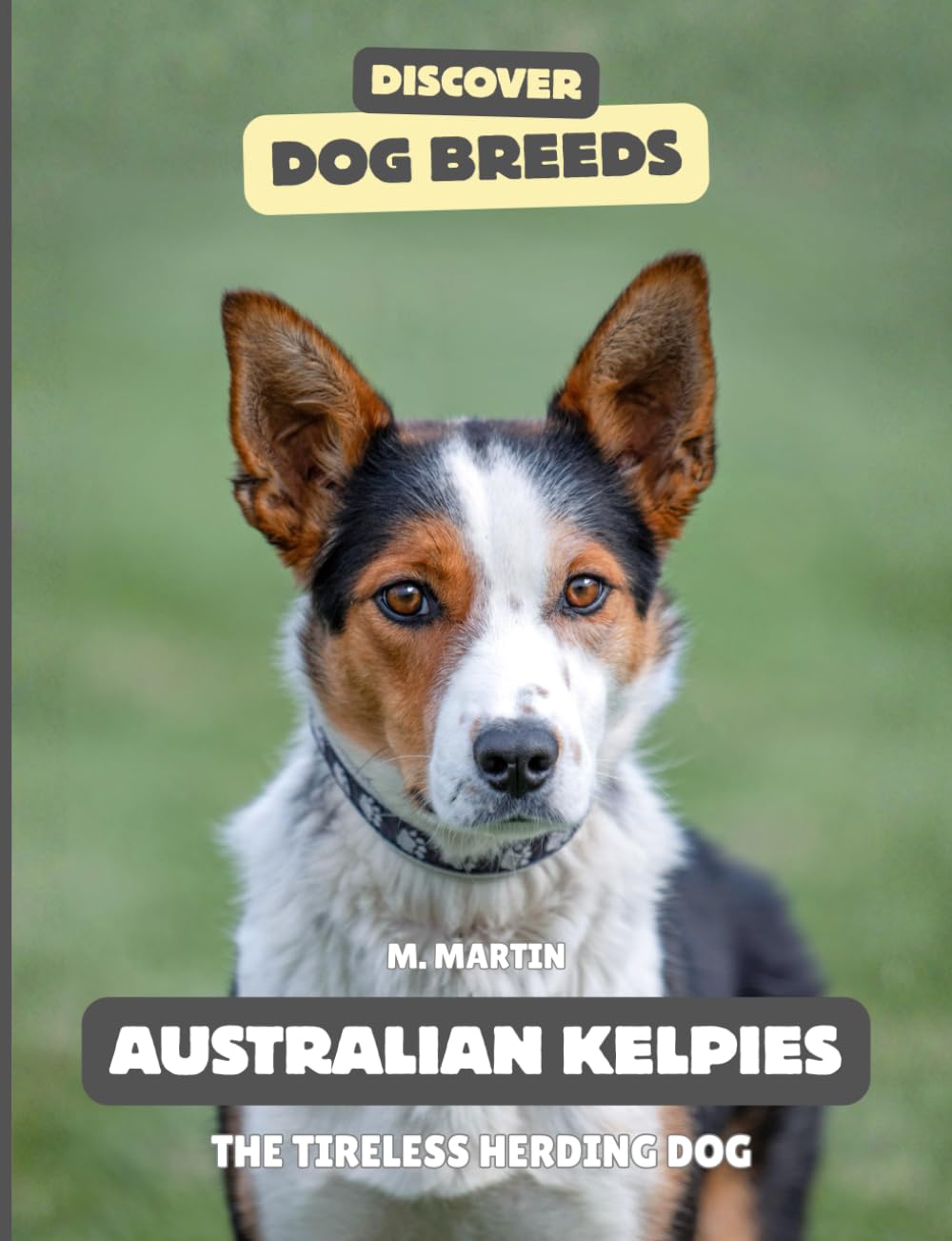 Australian Kelpies: The Tireless Herding Dog (Discover Dog Breeds)