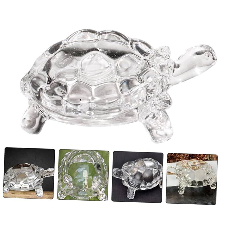 亀　 置物 71wCLD3xf7L._UF350,350_QL50_.jpg