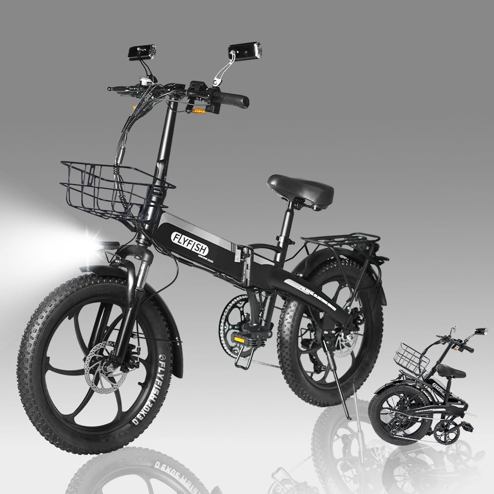 公道走行可 G-CRUISER20 折りたたみ電動自転車 20インチ 【公式通販】