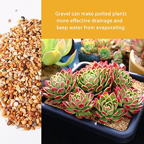 Image of 3lb Cactus Pea Gravel Rocks,1 /5 Inch Pebbles for Indoor Plants, Natural Succulent Rock and River Rocks Decorative for Aquariums, Vases, Terrarium, Outdoor Gardening, Top Dressing for Potted Plants