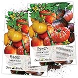 Seed Needs, Rainbow Tomato Mixture (10+ Varieties) Twin Pack of 70 Seeds Each Non-GMO