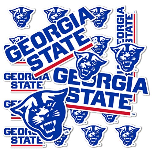 Desert Cactus Georgia State University Sticker Panthers GSU Sticker Vinyl Decals Laptop Water Bottle Car Scrapbook Sheet T1 (Type 1-1)