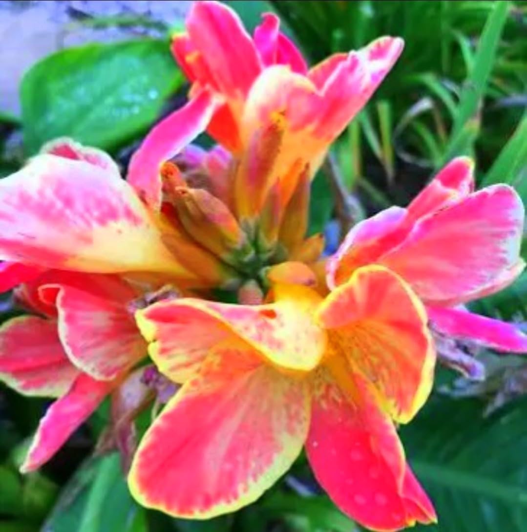 リネン風 お揃いリボン【1337】 ひまわり 雑貨 プレゼント