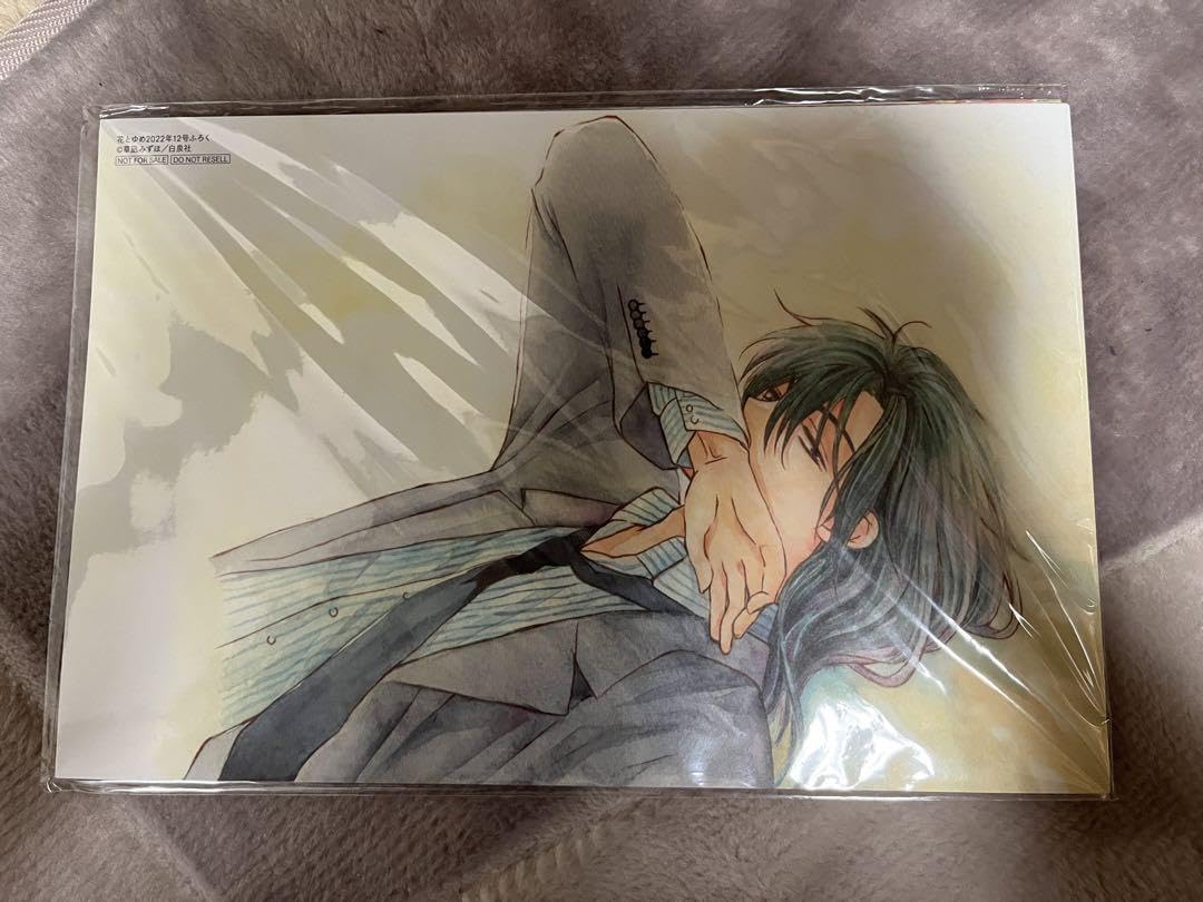 Amazon.co.jp: 暁のヨナ 複製原画セット : おもちゃ
