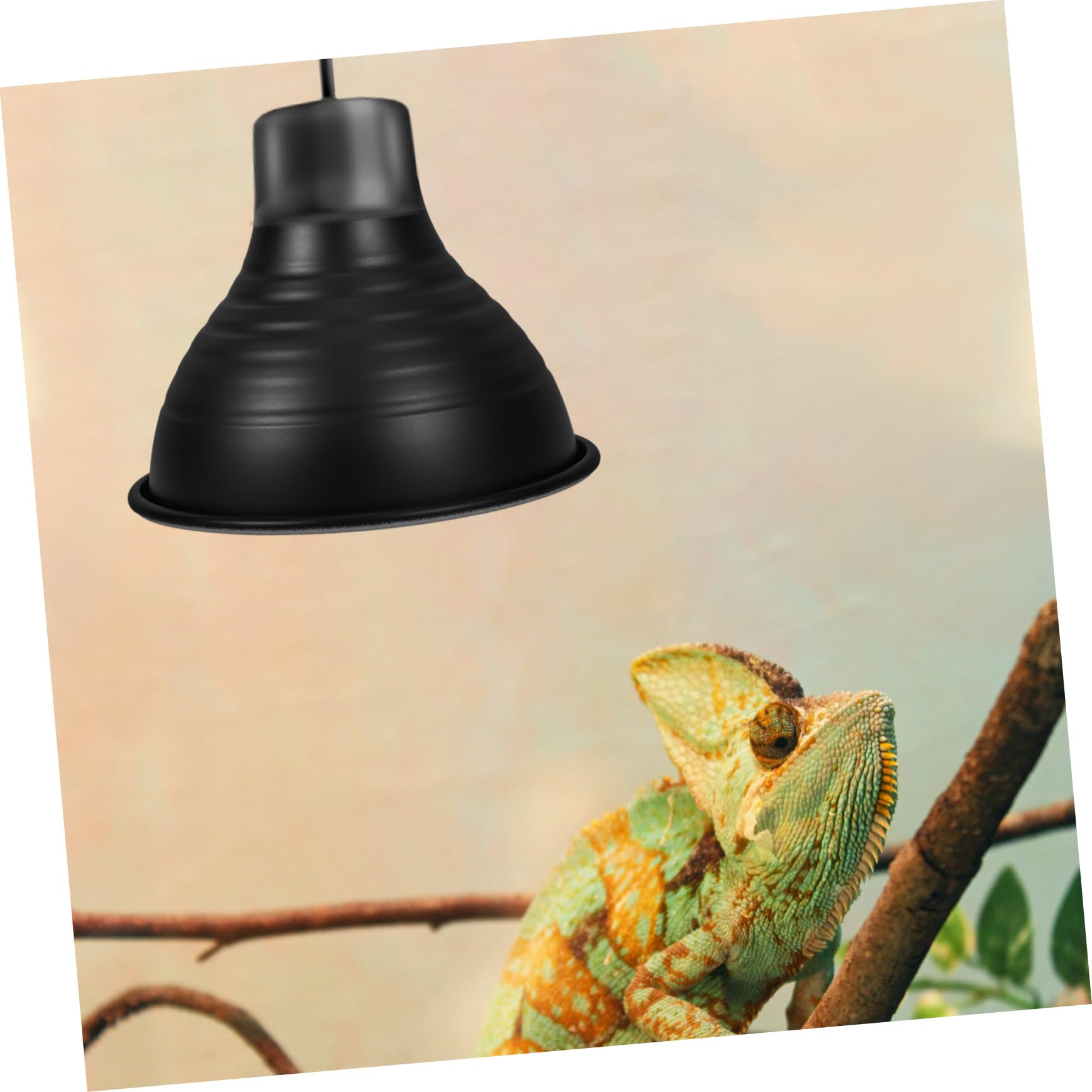 Ciieeo 5 Piezas luminarias para Reptiles Linterna LED Recargable luz de Calor para Reptiles Calentador Reptiles Accesorios de iluminación para Reptiles Bombillas Pantalla de Reptil Black