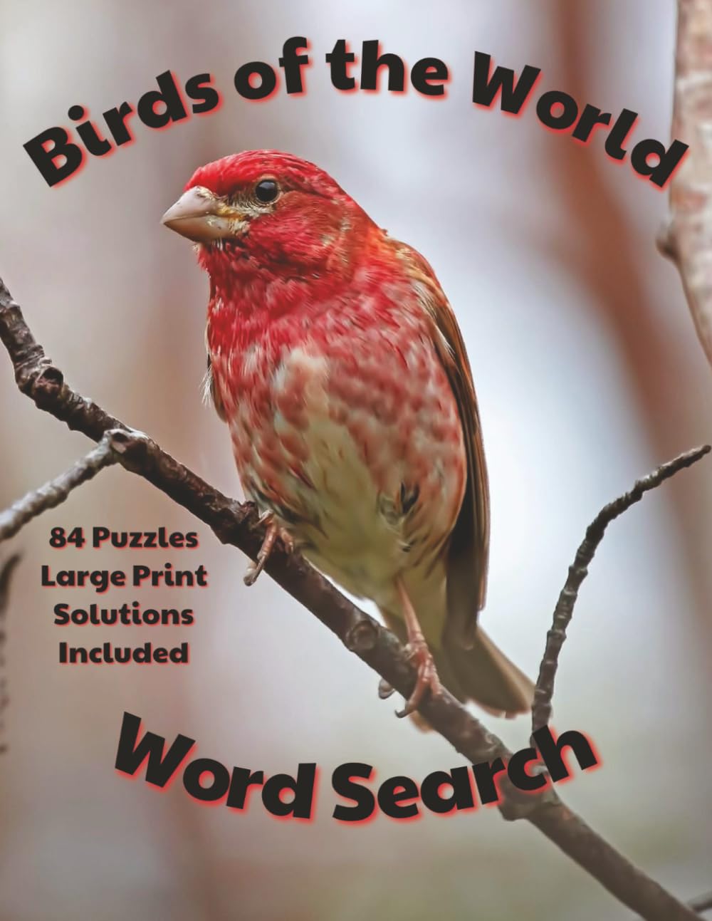 Birds of the World Word Search: Global Avian Puzzle Book for All Ages