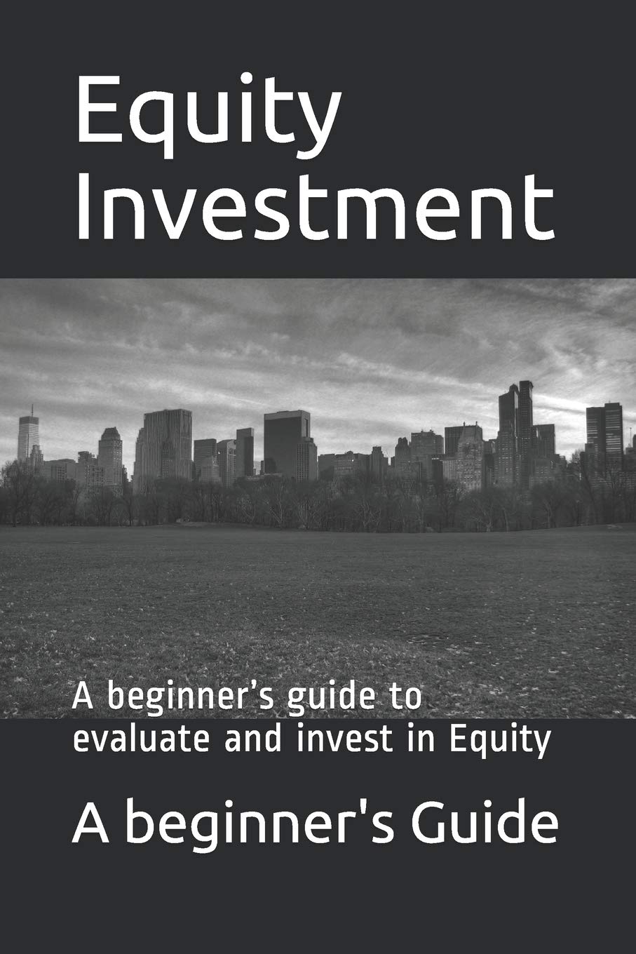 Equity Investments: A beginner’s guide to evaluate and invest in Equity: 4 (Investment series)