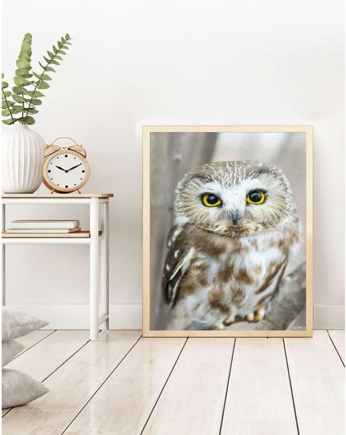 QAZWSX Owl Diamond Painting Kits for Adults, DIY Animal Diamond Art for Kids and Adults, Round Diamond Art, Full Drill Owl 5D Diamond Dots Home Wall Decor 12 X 16