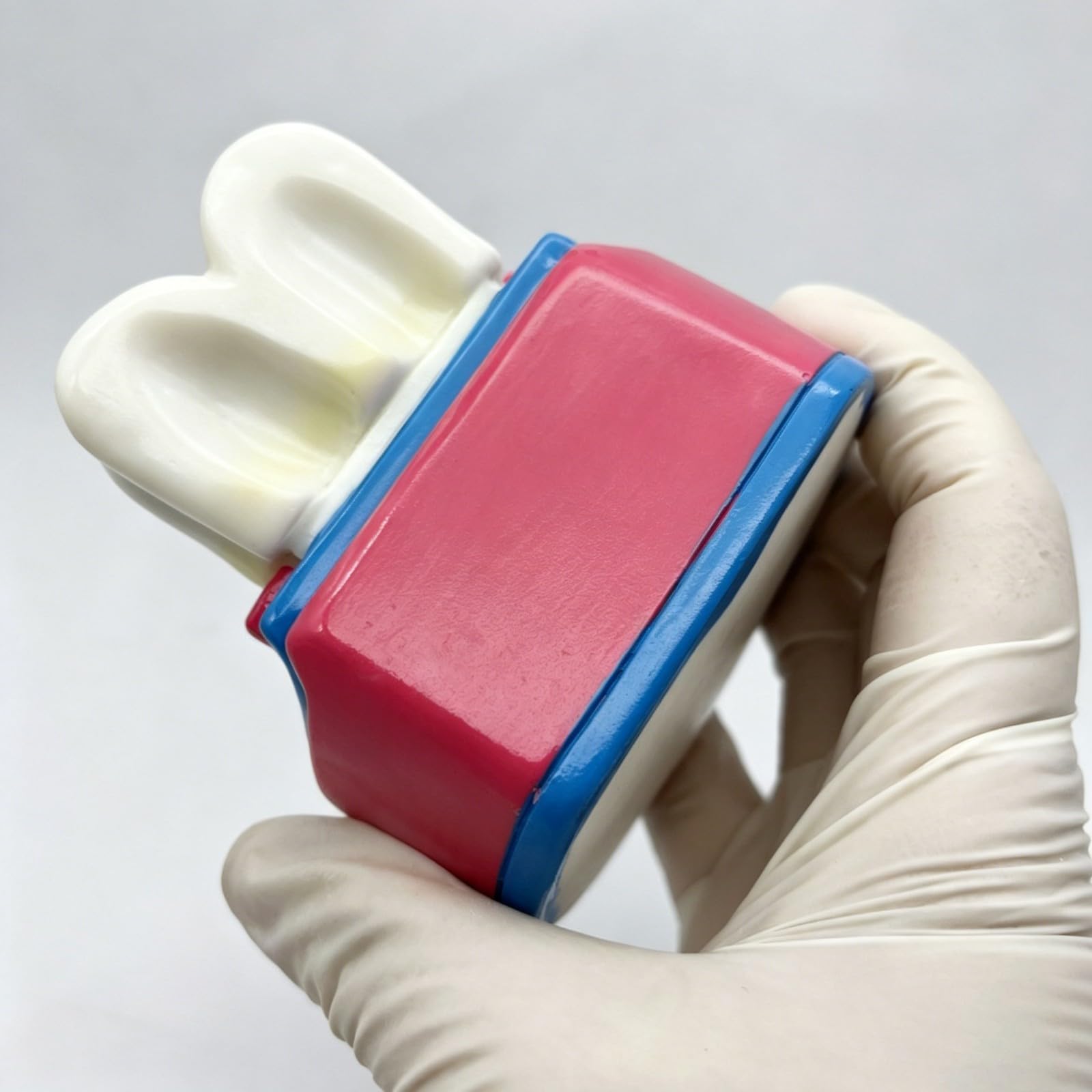 Ornamento da scrivania modello dentale, divertente decorazione artistica per studi dentistici, regalo unico per pensionamento, laurea o compleanno per uomini e donne, decorazione personalizzata per