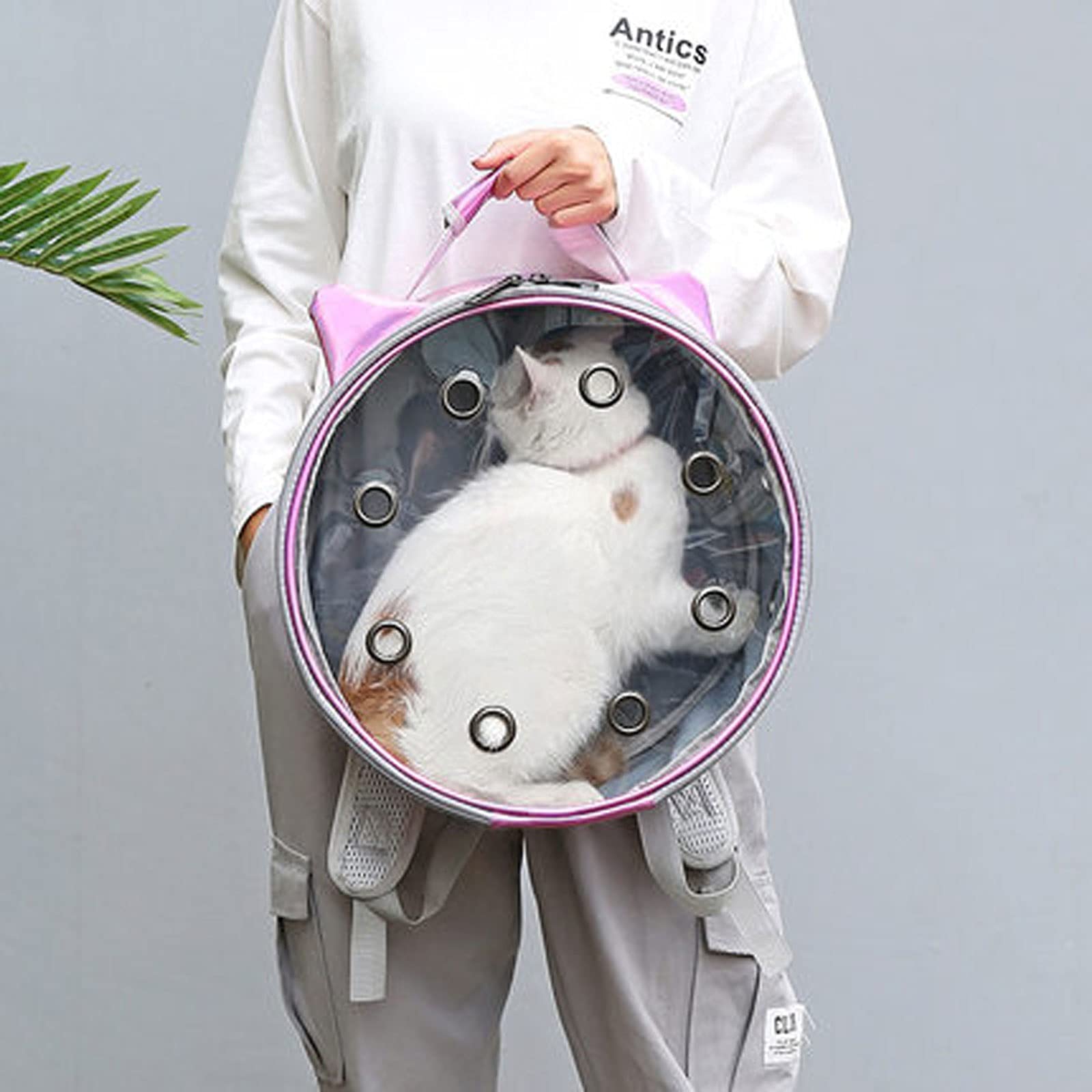 Borsa per animali domestici Zaino per animali domestici per gatti, cani e piccoli animali, trasportino portatile per animali domestici, trasportino per animali domestici approvato dalla compagnia ae