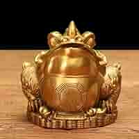 Amazon.com: EDCWDTYYEC 铜金蟾Golden Toad 聚宝盆Cornucopia