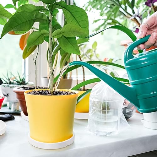 Miniatura 7 de LNQ LUNIQI Juego de 2 platillos redondos de cerámica de 4 pulgadas para macetas pequeñas de interior, hogar, jardín, exterior, macetas, platillos