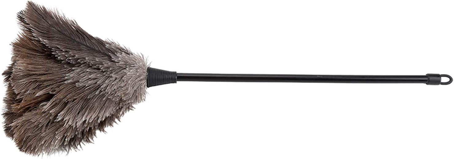 Duster, Feather Dusters, Ostrich Feather Duster, Mini