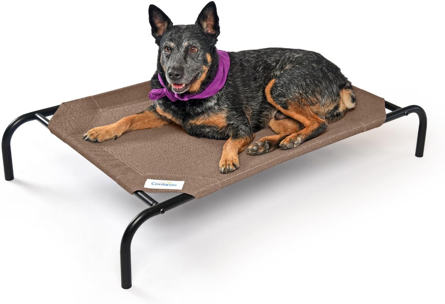 Coolaroo The Original Cooling Elevated Dog Bed, Indoor and