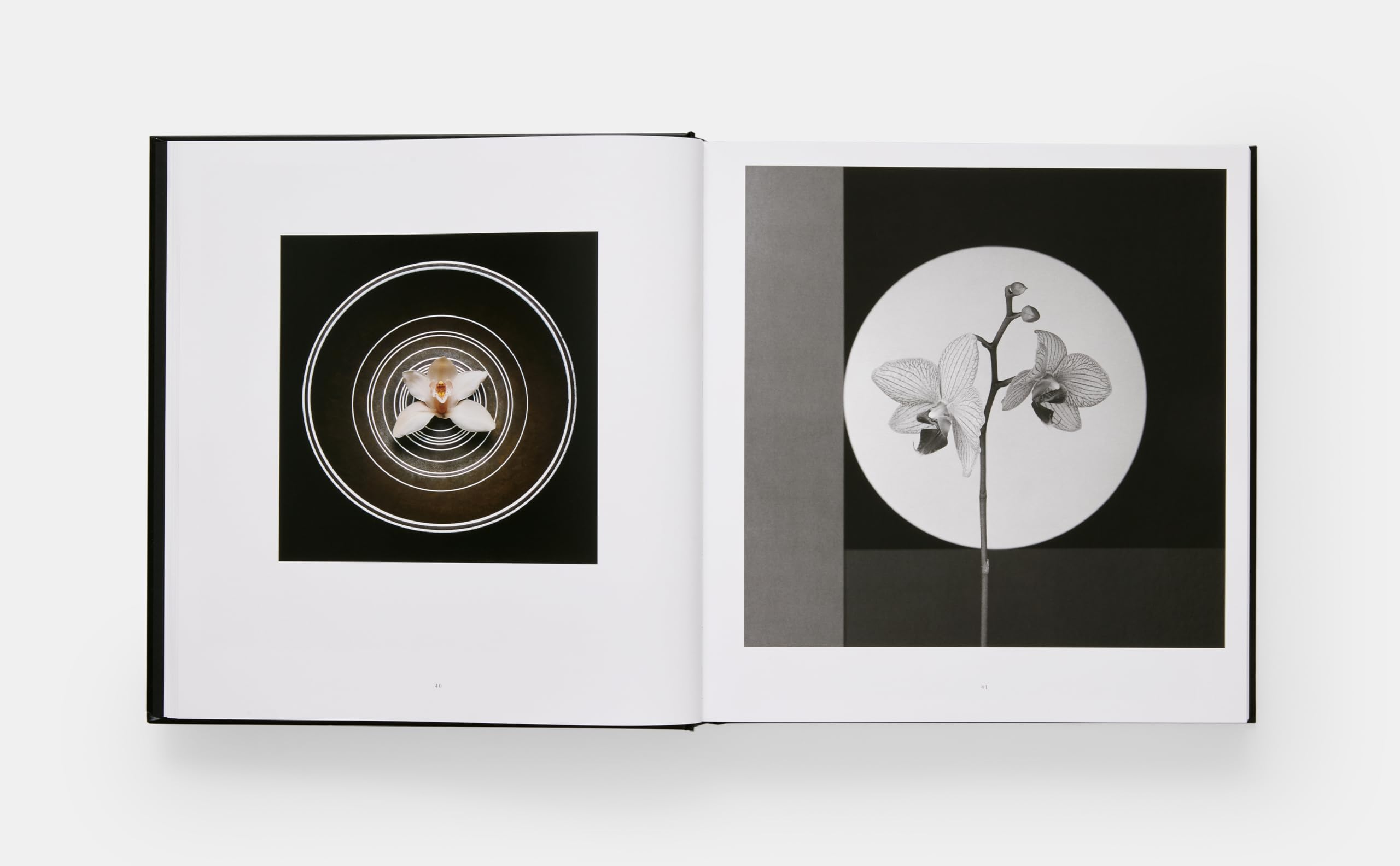 Robert Mapplethorpe. Flora. The complete flowers