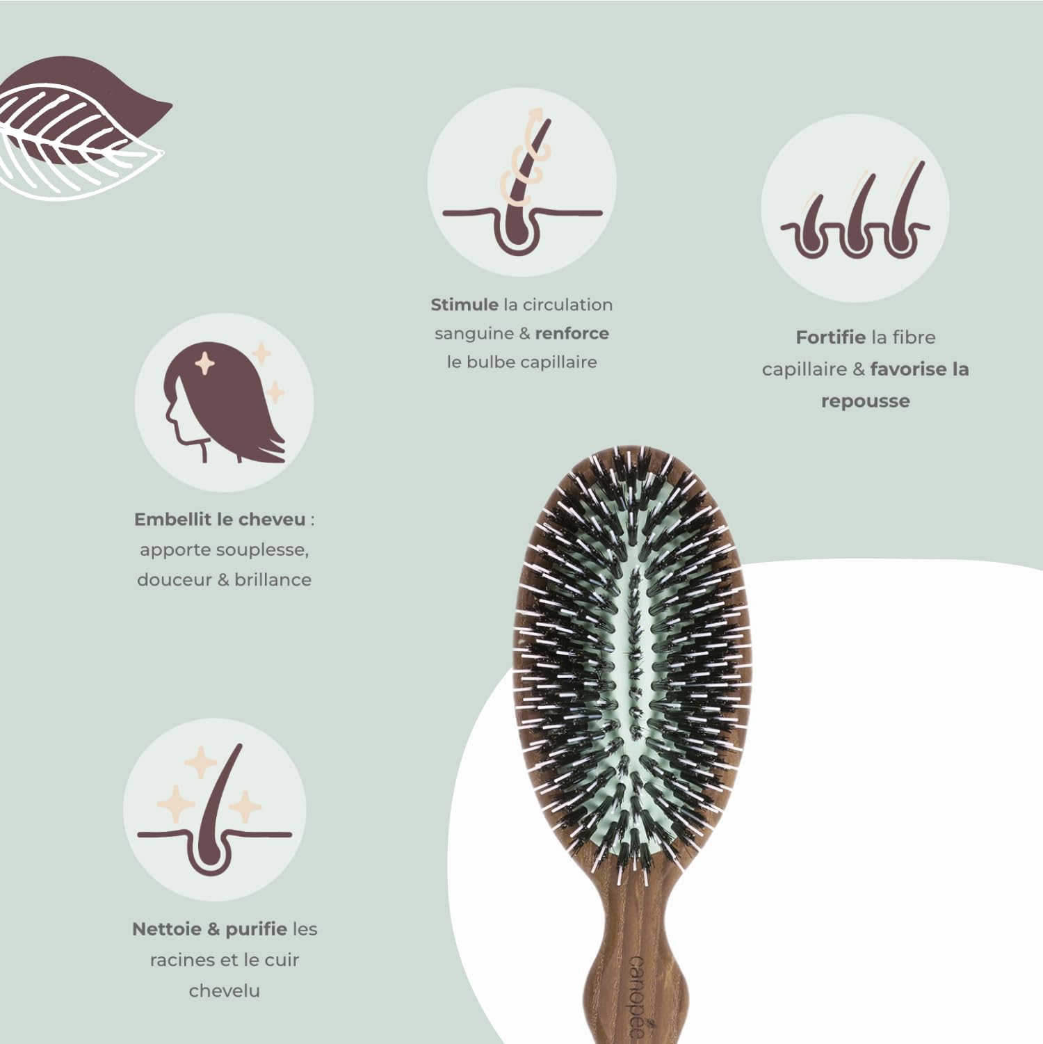 SOFÁ | Cepillo de pelo neumático desenredante | Cepillo de cuidado | Cuidado, liso y brillante | Cerdas 100% puro jabalí y puntas de nylon | Resistente al agua | Cabello grueso | Fabricación francesa