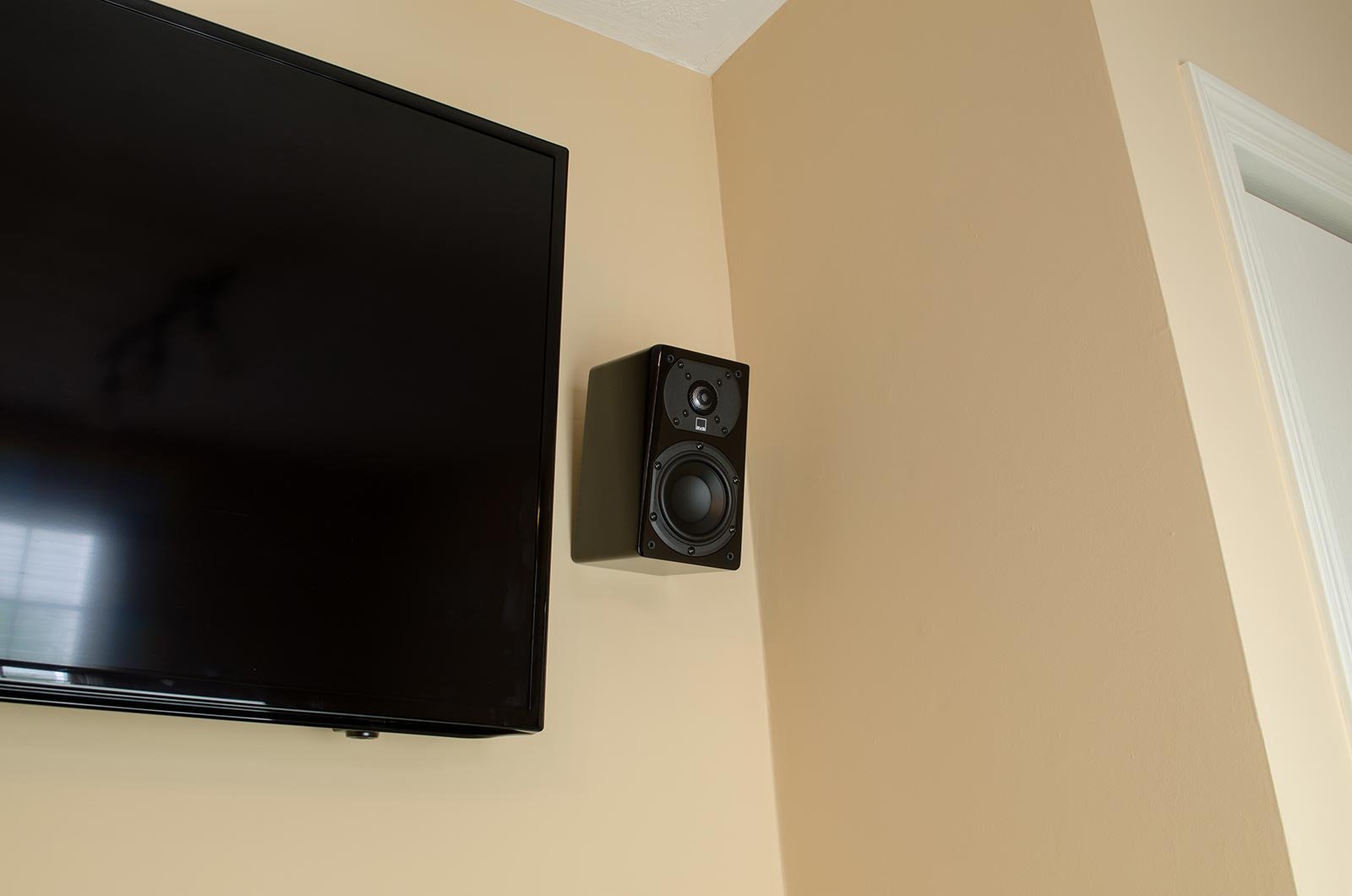 Amazon.com: SVS Prime Satellite Speaker (Pair) - Premium Black Ash