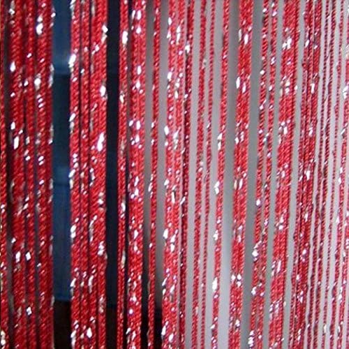 Metallic String Curtain Fringe Panel Room Door Divider