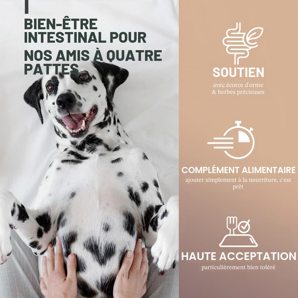 ReaVET Poudre d'estomac de qualité supérieure pour chiens - 300 g - Poudre de garniture alimentaire gastrique et intestinale avec écorce d'orme Slippery Elm Bark sans ébullition I Favorise la