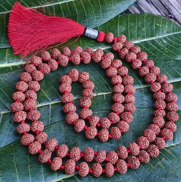 Wonder Care _Rudraksha Mala 5 facce (Panchmukhi) autentiche perline rudraksha ornamento rosario Japa Mala collana di perle Puja Yoga meditazione perline, Legno