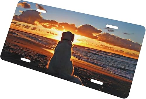 Miniatura 3 de Golden Retriever - Placa de matrícula de metal de aluminio para perro, decoración de automóvil, 6 x 12 pulgadas