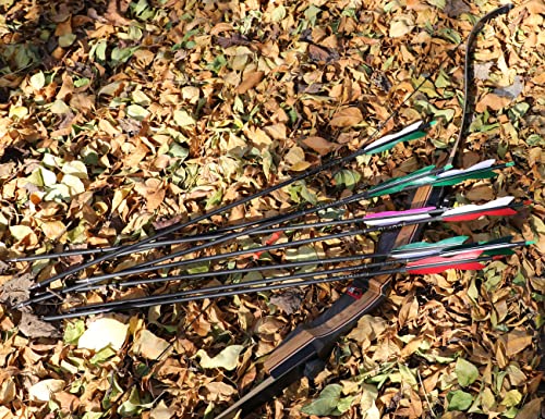 Lwano 30Inch Carbon Arrow Archery Hunting/Targeting Practice Arrows With 5" Turkey Feathers For Compound Recurve Longbow 12Pack #TOP5