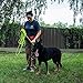 BronzeDog Rope Pro Training Dog Collar Braided No Pull Quick Release Round Lead Collars for Dogs Small Medium Large Puppy (30 FT Leash, Neon Green)