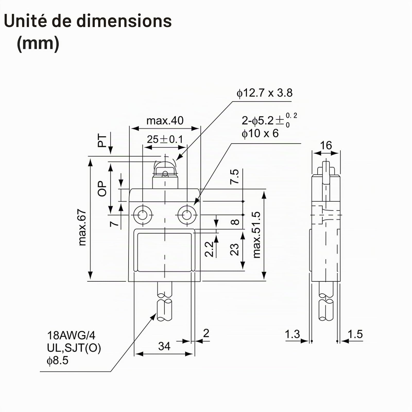 BAOMAIN Interrupteur de Fin de Course Industriel BM-3102 (TZ-3102), Piston à Rouleau en Acier Inoxydable, Étanche IP67, Contact Momentané SPDT (1NO+1NC), Commutateur de Position Robuste