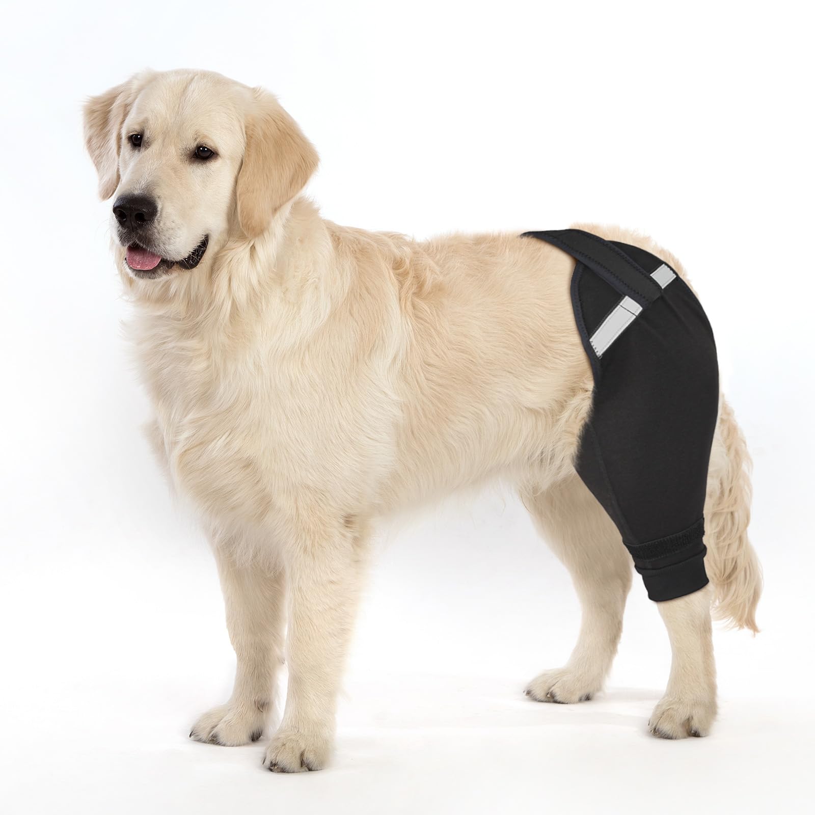 Photo 1 of Petdream Dog Rear Leg Sleeve to Stop Licking, Upgraded Leg Shap to Stop Slipping, for TPLO Surgery, Skin Conditions, Wounds, Breathable Soft Fabric (Black, Right Leg, XS)