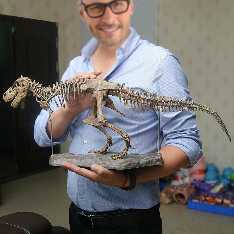 Squelette de dinosaure T-Rex figurine fossile pour décoration de bureau