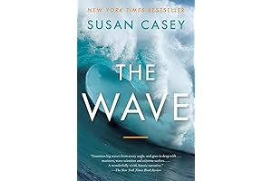 The Wave: Embarking on an Odyssey into the Realm of Ocean's Mesmerizing Waves