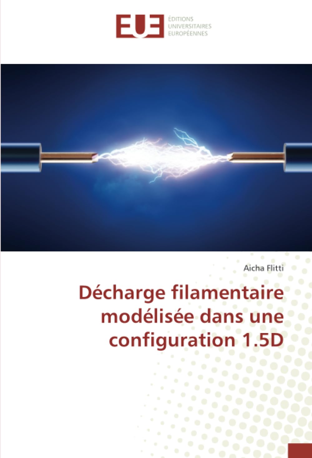 Décharge filamentaire en configuration 1.5D : étude de la cinétique