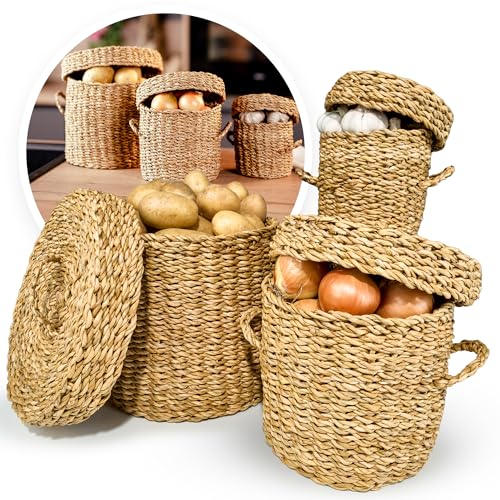 Fruit Hub Boîte de rangement pour pommes terre, oignons, pommes de terre, panier à légumes