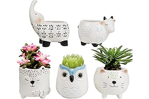 LA JOLIE MUSE Succulent Planter Set