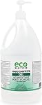 Eco Hand Sanitizer Gel, Citrus Scented, 4 Litres with Pump, 70% Alcohol | Made in Canada, Plant Based, Quick Dry, Bulk Hand Sanitizer Refills, For Convenient Sanitization, Scented with Essential Oils