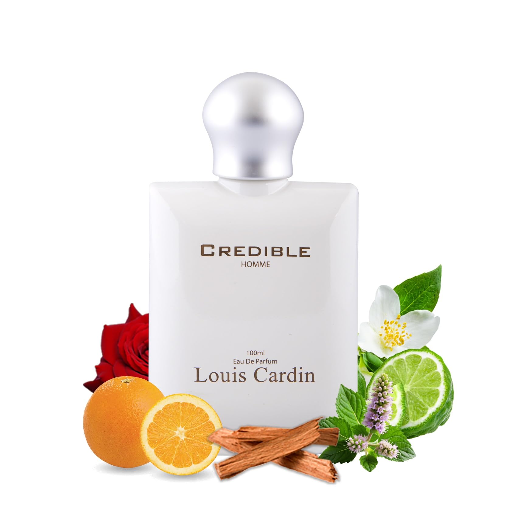 Louis cardin Credible Homme + TShirt-picture-29