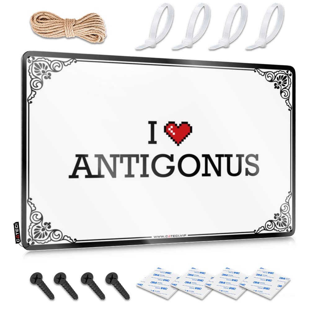Fzfn Colour Decoration Antique Funky Nice I Love Antigonus - Vintage Wall Decor For Garage(30X40cm)