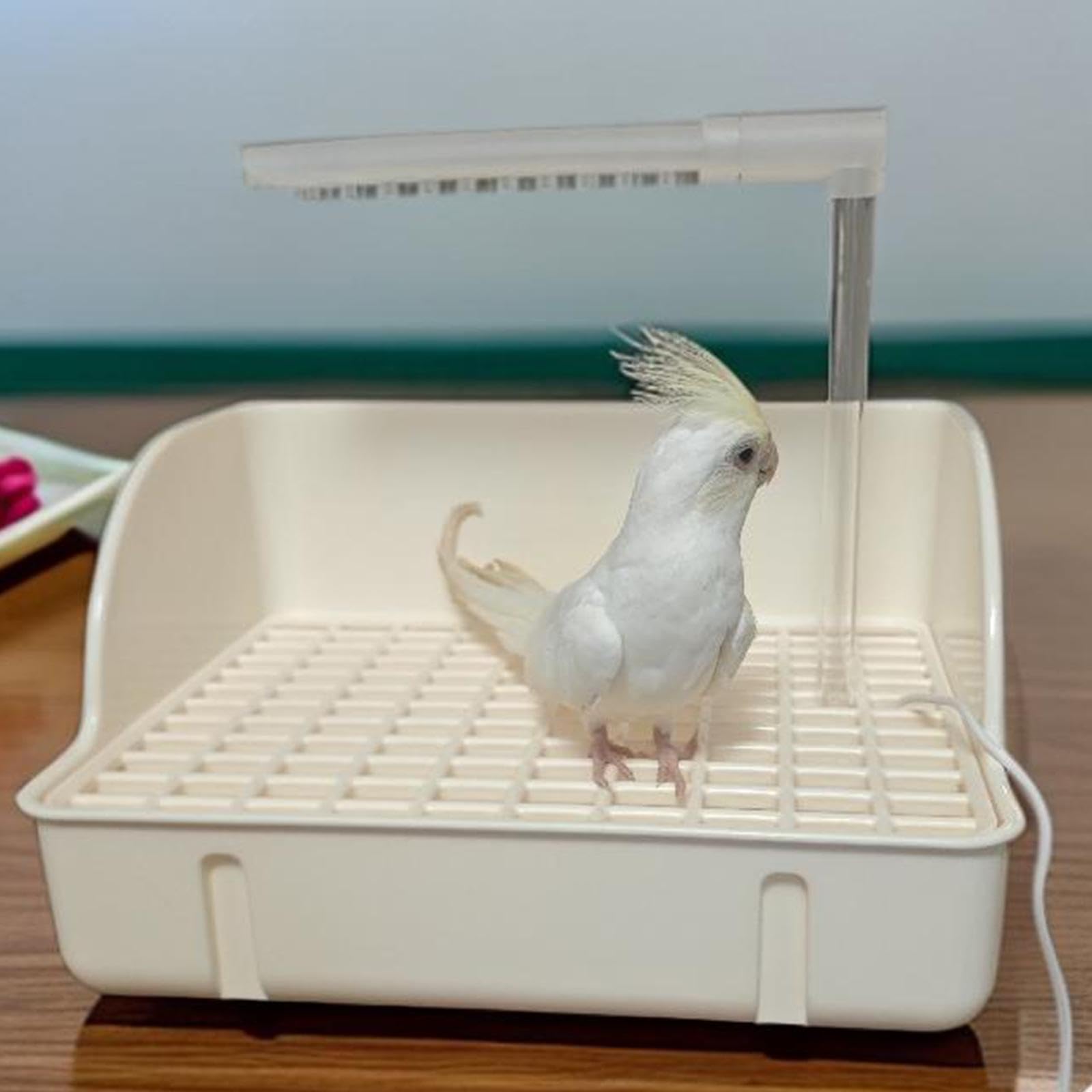 Baignoire pour Oiseaux, Facile à Installer, Légère et Amovible, Idéale pour Les Perroquets.
