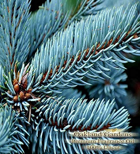 Aceite Difusor Blue Spruce 2oz miniatura 2