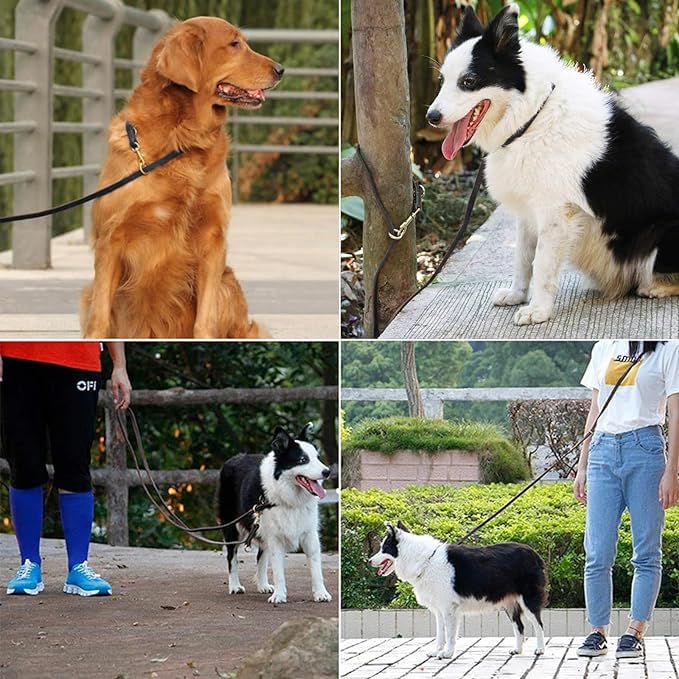 View 6