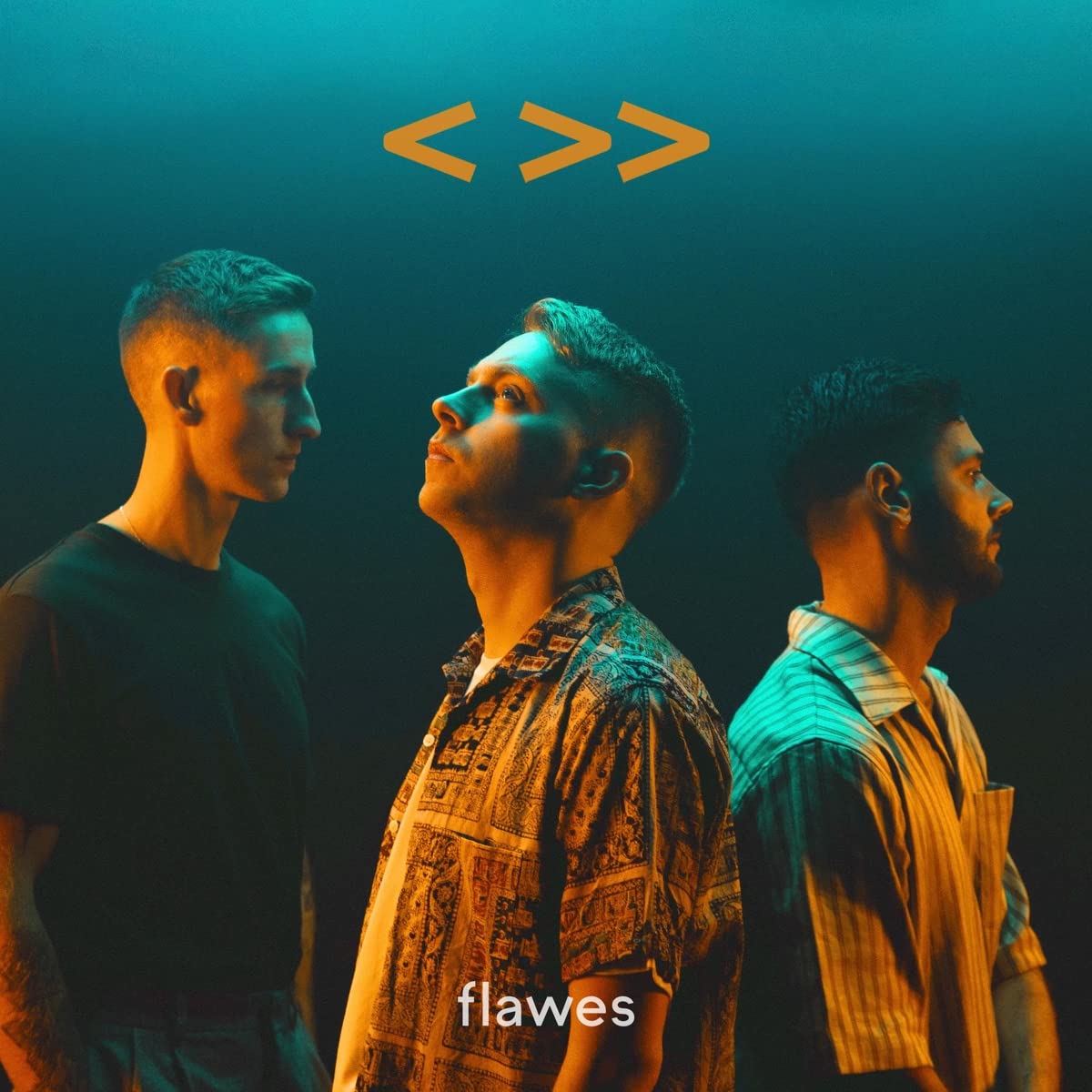One Step Back, Two Steps Forward [VINYL]